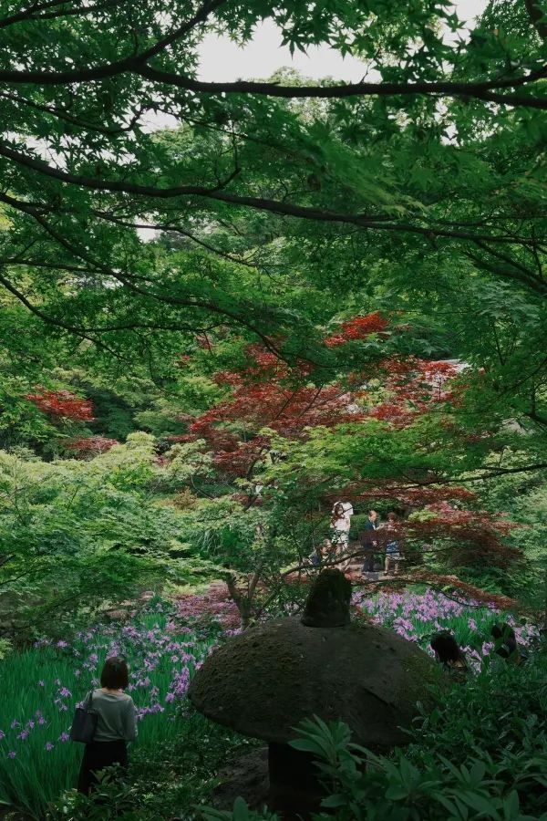 東京｜悠閒漫步·代代木公園到根津美術館 🚶‍♂️🌳🎨