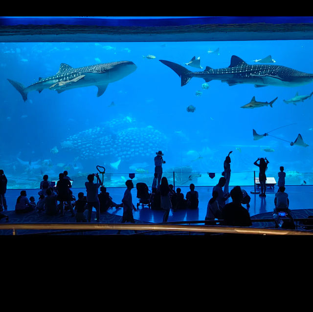 Aquarium in Zhuhai China