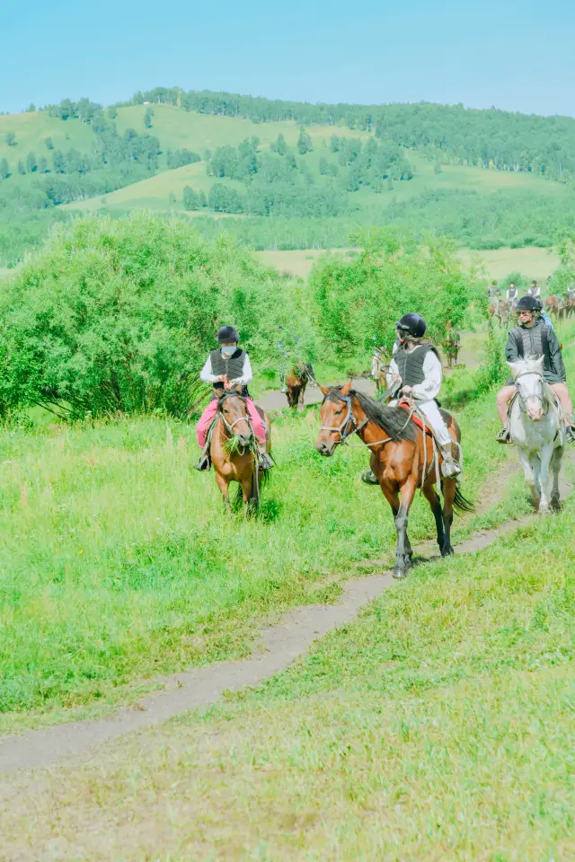 Hulunbuir Horseback Riding!