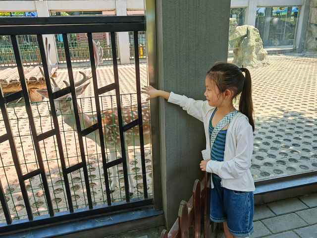 秦嶺野生動物園。