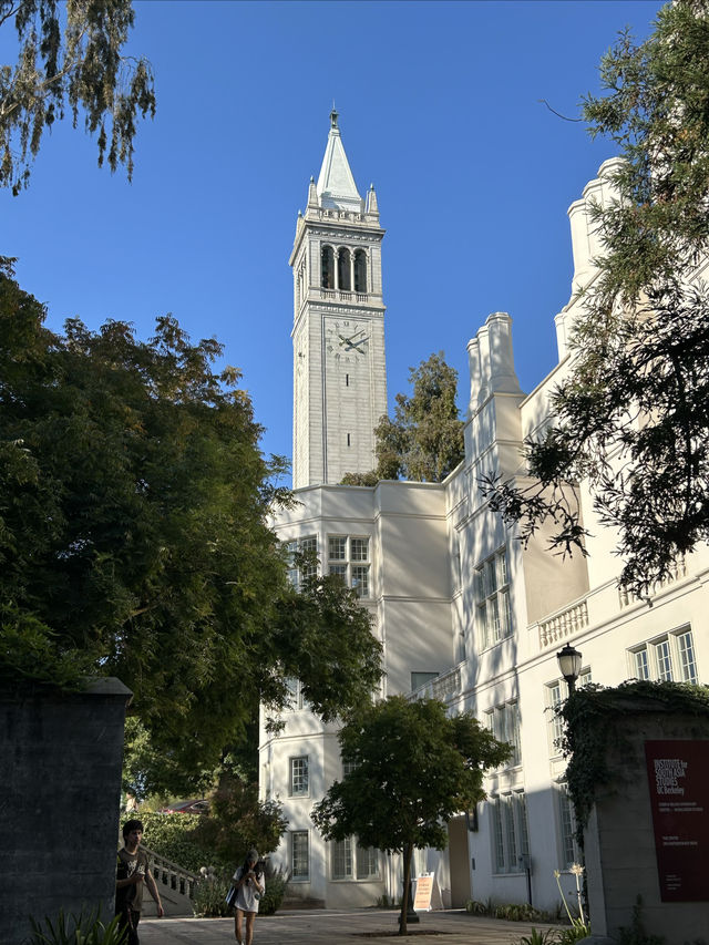 加州伯克利大學。