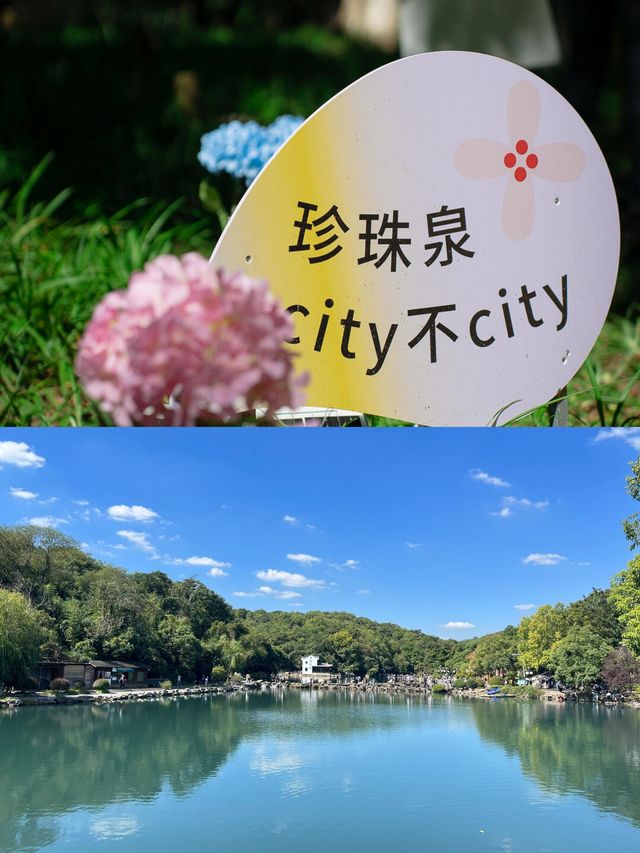 南京珍珠泉︱隱藏的天堂：探尋翡翠泉水。