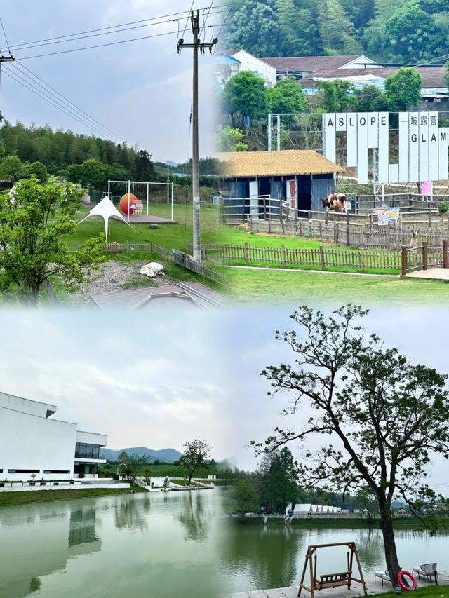 紹興·山林茶園中的民宿。