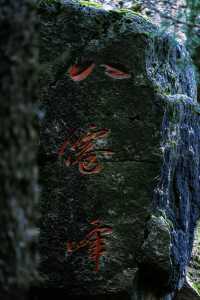 徒步焉支山，迷霧森林裡的小眾秘境。