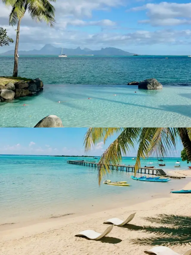 타히티, 천국인가 아니면 인간 세상인가?!