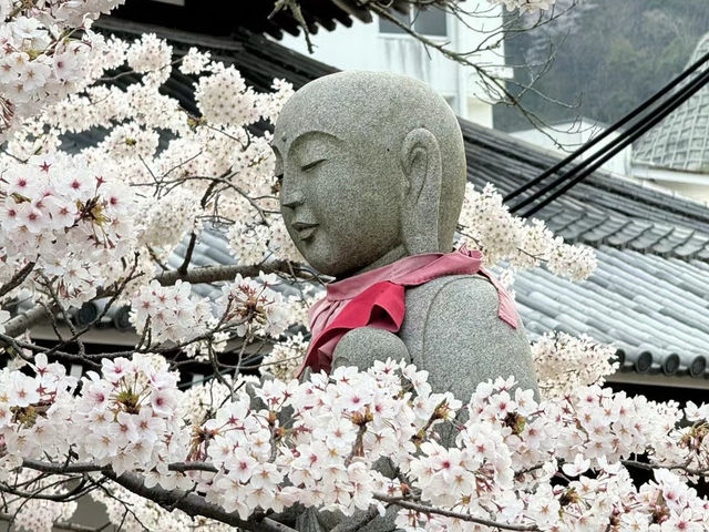 從大阪如何到達有馬溫泉？鐵路、巴士交通攻略奉上！