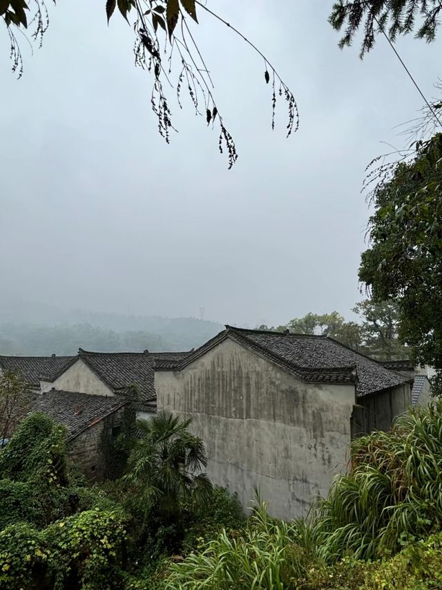 大冶上馮九古奇村 今天又發現了武漢周邊一處隱秘的村落，一整座村莊三面環山，古木參天，在這裡隨處可以見。