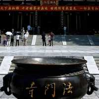 探尋千年佛緣，感悟歷史沈澱——法門文化景區的心靈之旅