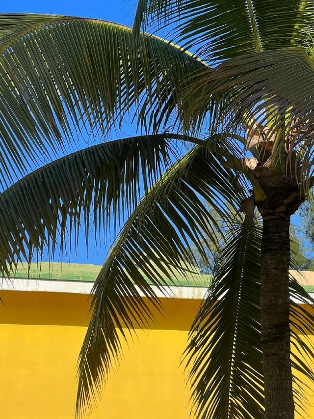 科科島度假模式。