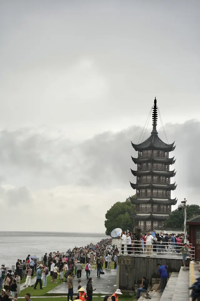 錢塘江觀潮，嘉興海寧鹽官攻略。