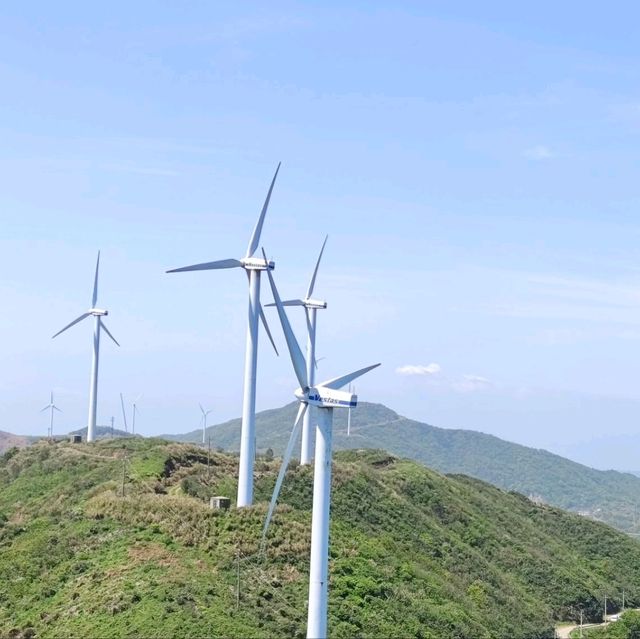 《探秘衢山岛：自然风光与渔村文化的完美融合》
