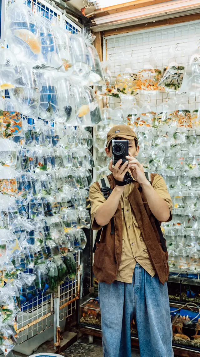 Hong Kong Goldfish Street photo guide.