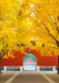 真是個驚喜!北京地壇公園的魅力超乎想像!。