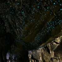 Discover the Magic of Waitomo Glowworm Caves🌌