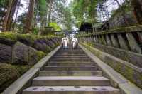 Explore the World Heritage Site: Nikko Toshogu Shrine and the Three Wise Monkeys