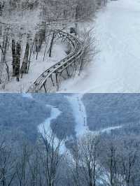 吉林北大湖滑雪‖拍照打卡攻略。