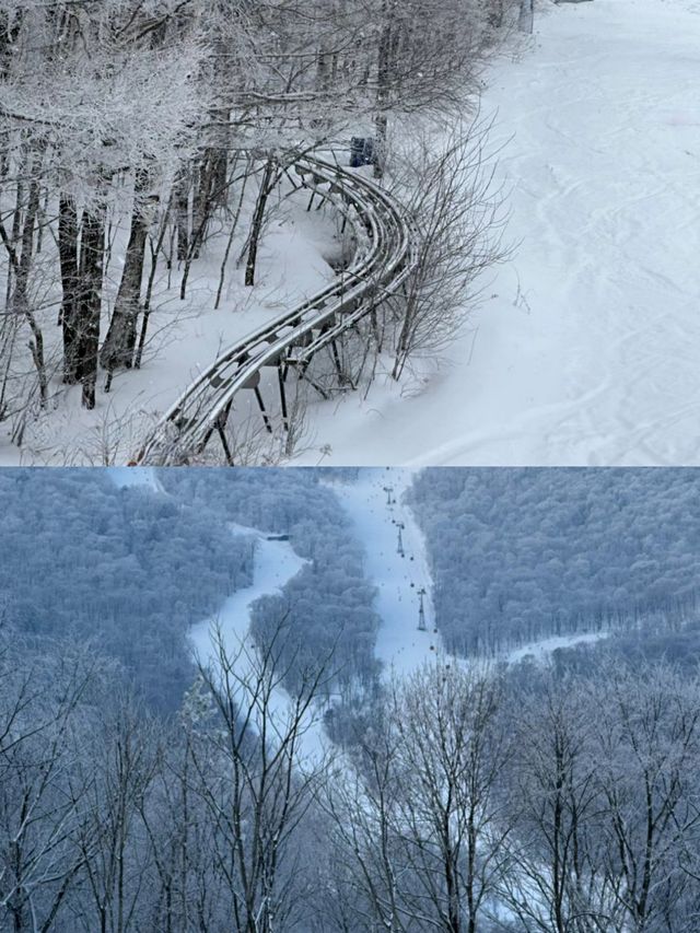 吉林北大湖滑雪‖拍照打卡攻略。
