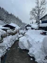 Experience the Enchanting Snowy Wonderland of Japan