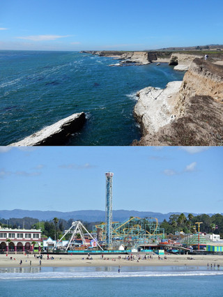 Travel through the redwood forest: A steam train journey in Santa Cruz. 