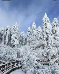 瓦屋山Live，真的不是禾木！。