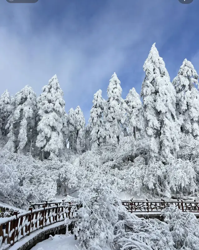 Wawushan Live, it's not Hemu!