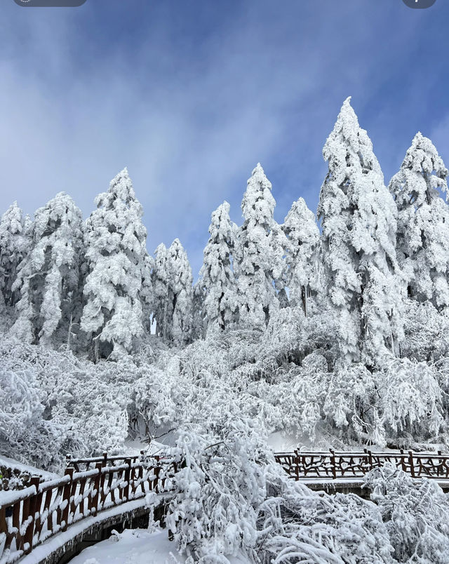 瓦屋山Live，真的不是禾木！。
