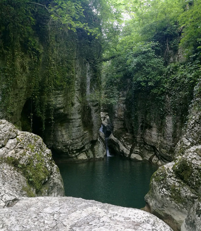 走進索契植物園，領略大自然的魅力。