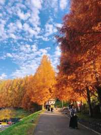 Visit the Free Moomin-Themed Park in Fall