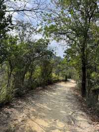 大欖郊野公園｜麥理浩徑第十段千島湖清景台