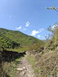 雅安｜茶馬古道起點，蒙頂山的清涼夏天