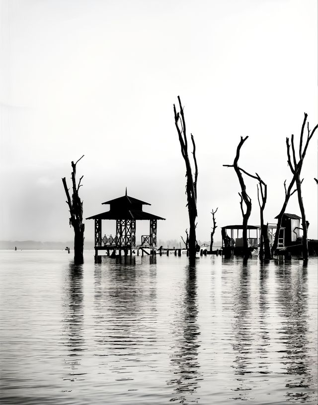 非洲之行之納瓦沙湖