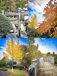 衢州，山河落款處