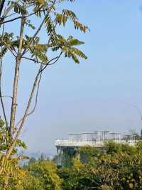 龍泉山城市森林公園｜城市綠肺，自然瑰寶