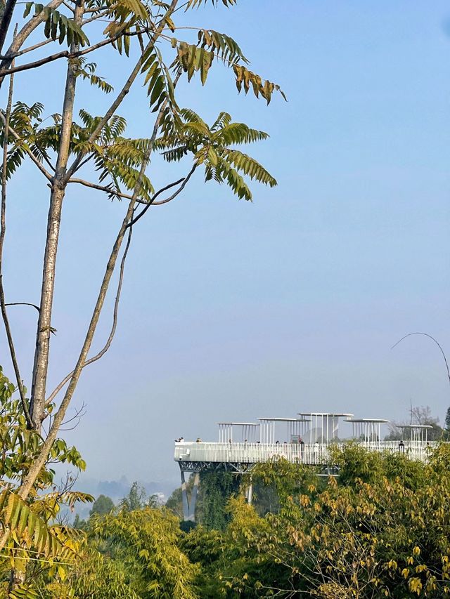 龍泉山城市森林公園｜城市綠肺，自然瑰寶