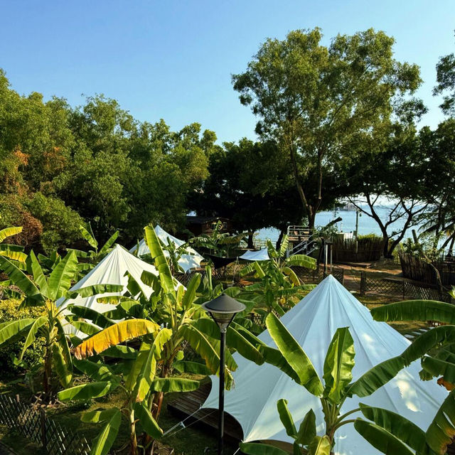 🌴深圳度假 | 誤以為到了西雙版納🌴