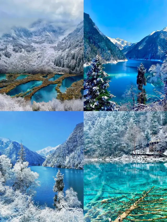 Huanglong Scenic Area and Panda Base Guide: Must-know Tips