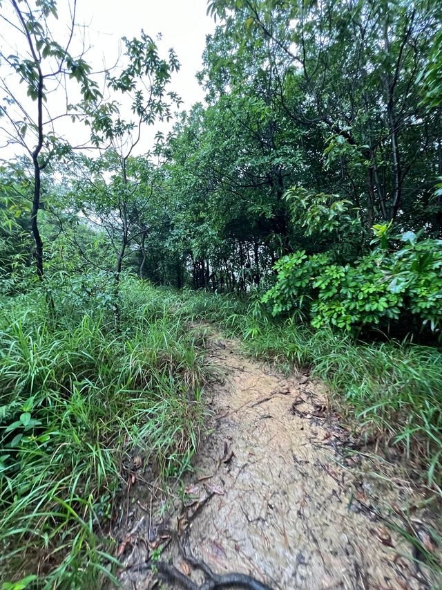 廣東中山五桂山|中山版「九寨溝」