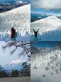 青森：解鎖日本東北的夢幻密碼