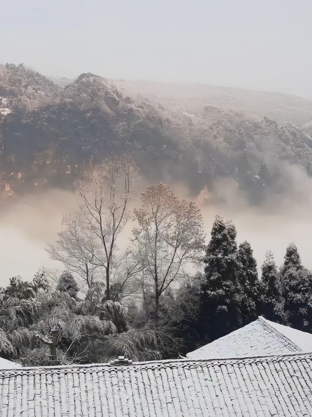 四川寶藏遛娃地！邛崃天台山雪景親子遊全攻略