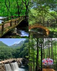 本溪｜關門山森林公園——真正的天然氧吧