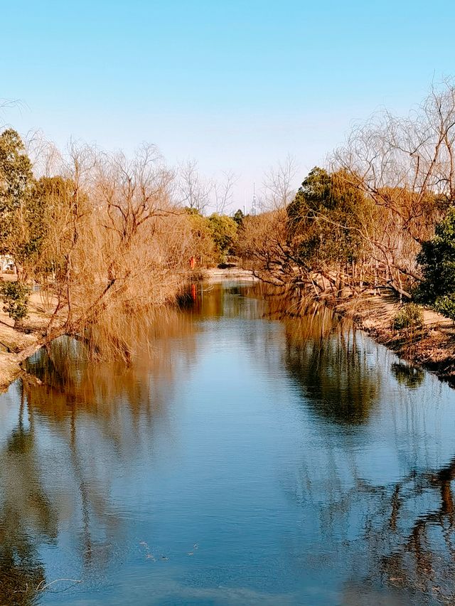 冬日上海，公園美景