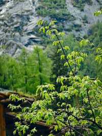 3天暢遊四姑娘山-魚子西 省錢又盡興的攻略來啦