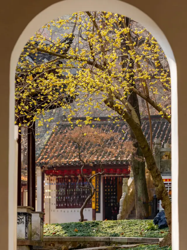 2-Day Suzhou Itinerary: A Complete Guide