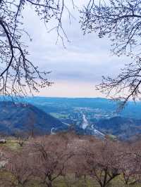 冬季大邑2日遊 給你的旅行加點甜