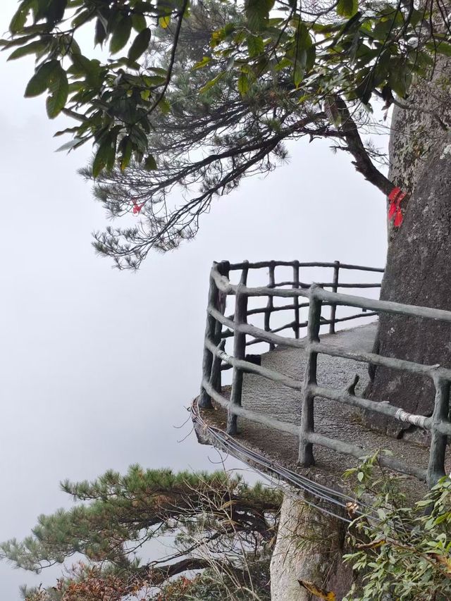 江西風景獨好：吉安·羊獅慕