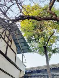 四川小眾寶藏地，昭化古鎮藏着意想不到的驚喜