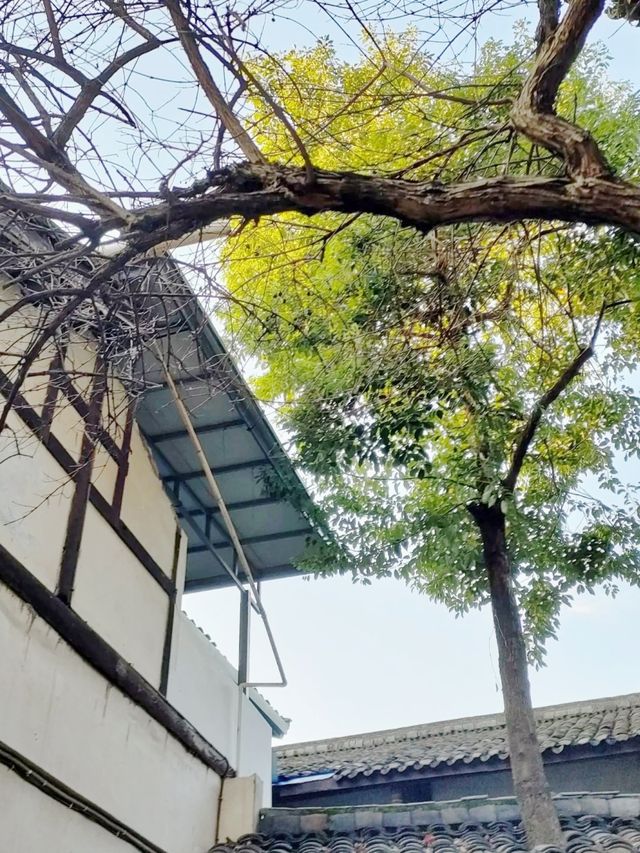 四川小眾寶藏地，昭化古鎮藏着意想不到的驚喜