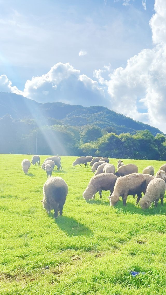 一腳踏進「宮崎駿的夏天」！