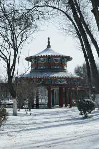 打卡西寧人民公園