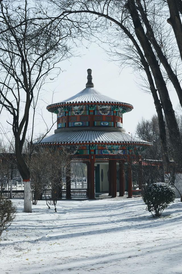 打卡西寧人民公園
